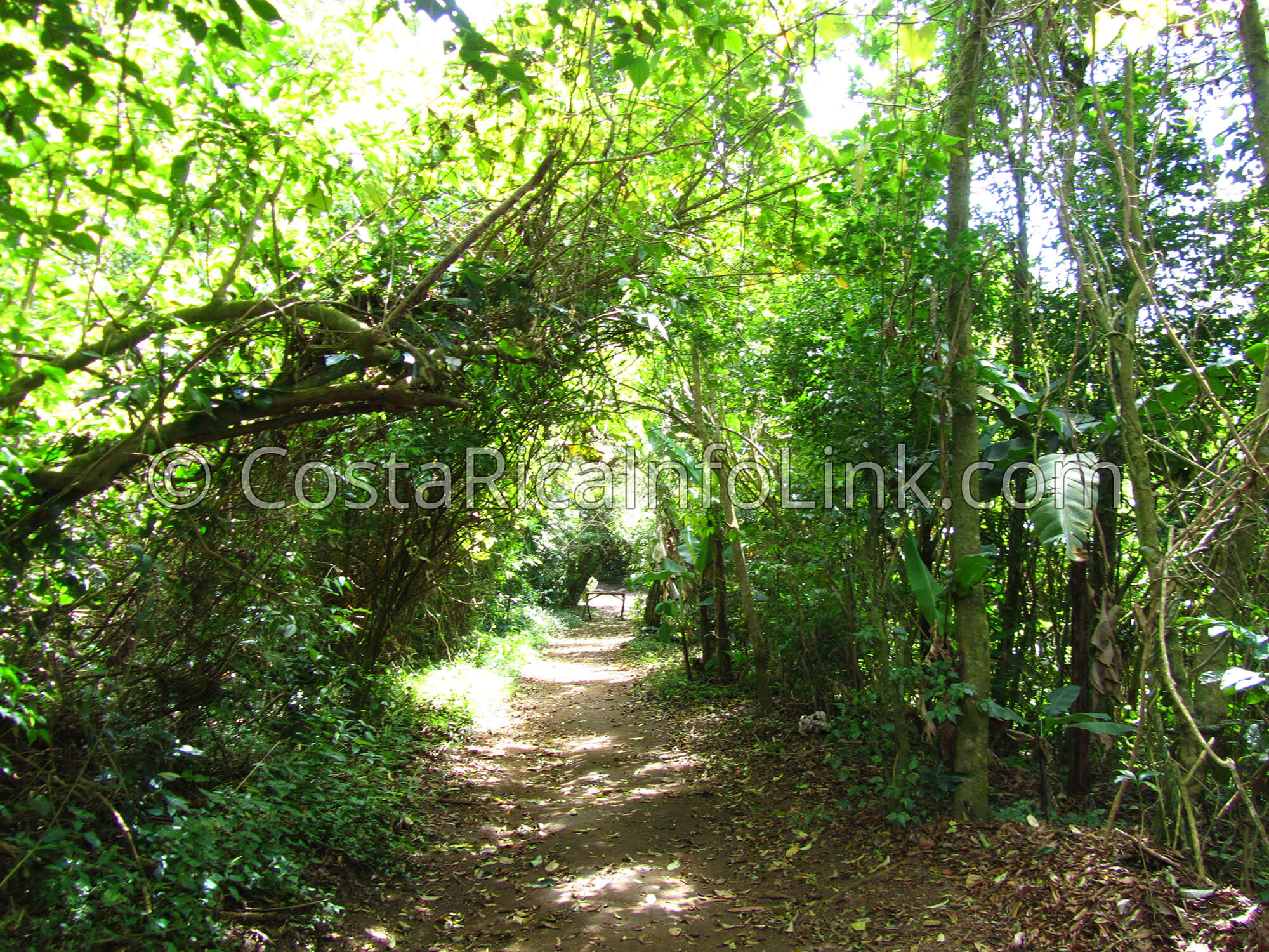 Reserva Privada Bosque Eterno de los Niños Costa Rica