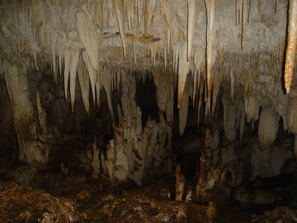 Cavernas del parque nacional barra honda #5