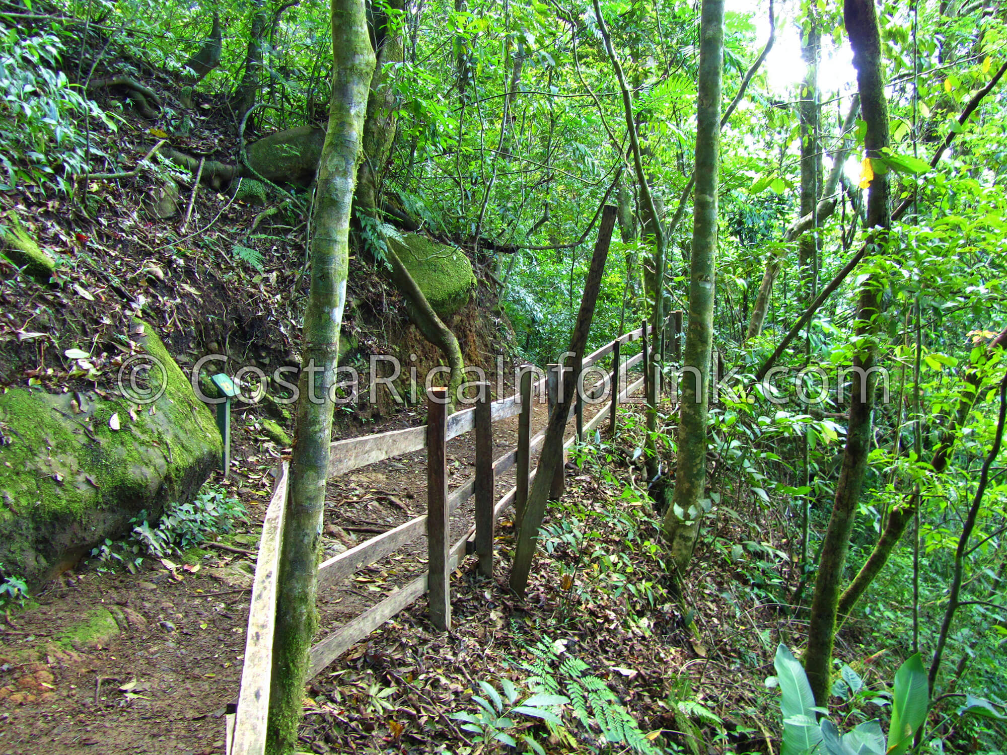 Children’s Eternal Rainforest Private Reserve Costa Rica