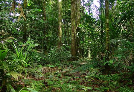 Agua Buena Wildlife Refuge Costa Rica - Phones, Addres map, Bus