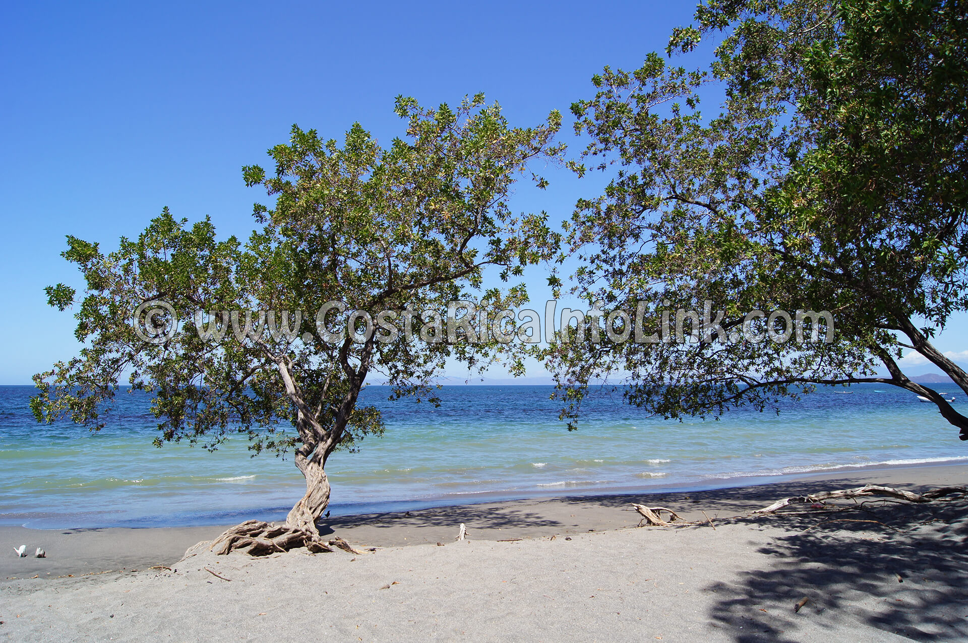 Matapalo Beach in Guanacaste, Costa Rica Tourist Information