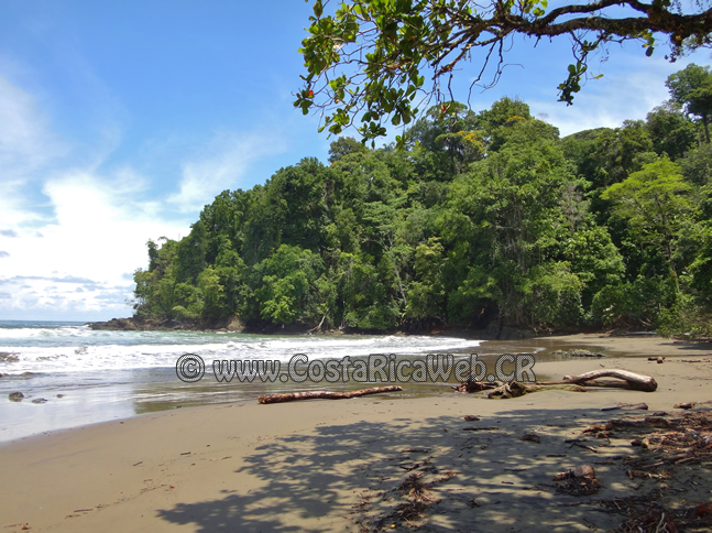 Hermosa Beach Costa Rica Costaricainfolink Com