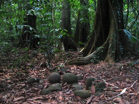 Reserva Biológica Isla del Caño, Costa Rica - Costa Rica