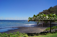 Playa Bahia Pez Vela Costa Rica