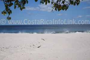 Playa Cabuyal Costa Rica