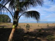 Playa Agujas Costa Rica