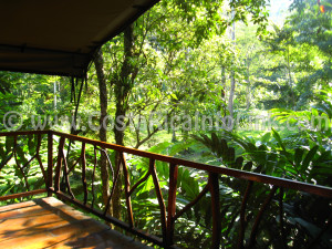 Vista Habitacion Hotel Rafiki Safari Lodge Costa Rica