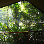 Vista Habitacion Hotel Rafiki Safari Lodge Costa Rica