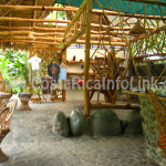 Hotel Rafiki Safari Lodge Costa Rica