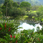 Lago Hotel Rafiki Safari Lodge Costa Rica