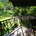 Room View - Rafiki Safari Lodge Hotel Costa Rica