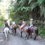 Horseback Riding - Rafiki Safari Lodge Hotel Costa Rica