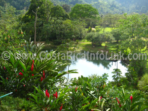 Lake - Rafiki Safari Lodge Hotel Costa Rica