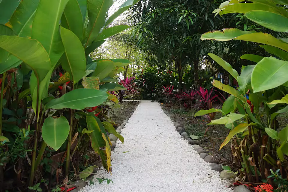 Blue Room Villas La Paillote — Boutique Villas near Playa Tambor, Paquera