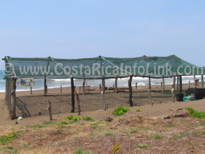 Camaronal Beach Costa RIca