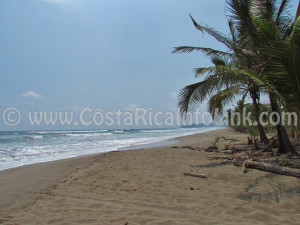 Coyote Beach Costa Rica