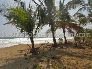 Coyote Beach Costa Rica