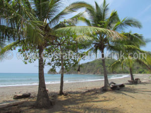 Islita Beach Costa Rica