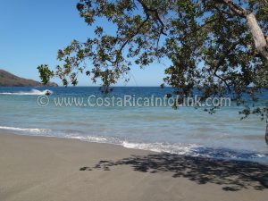 Matapalo Beach Costa Rica