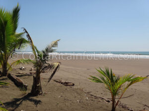 Palma or Bandera Beach Costa Rica