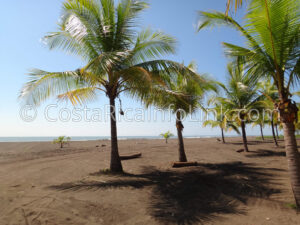 Palo Seco Beach Costa Rica