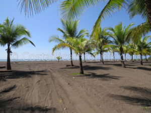 Palo Seco Beach Costa Rica