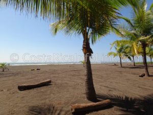 Palo Seco Beach Costa Rica