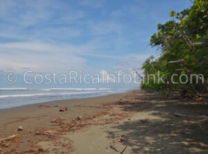 Guapil Beach Costa Rica