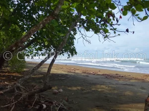 Guapil Beach Costa Rica