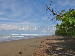 Guapil Beach Costa Rica