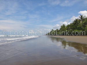 Guapil Beach Costa Rica