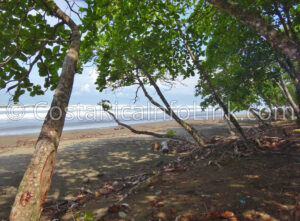 Guapil Beach Costa Rica