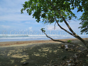 Guapil Beach Costa Rica