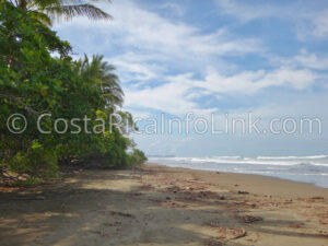 Guapil Beach Costa Rica