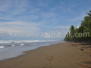 Guapil Beach Costa Rica