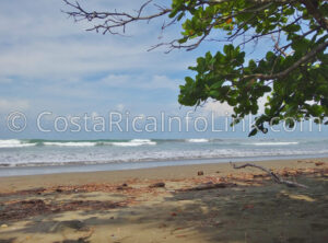 Guapil Beach Costa Rica