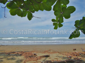 Guapil Beach Costa Rica