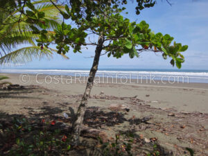 Linda Beach Costa Rica