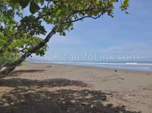 Matapalo Beach Costa Rica