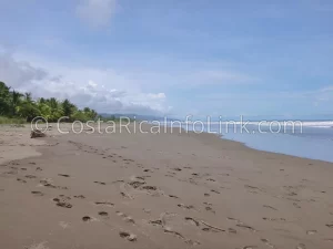 Matapalo Beach Costa Rica