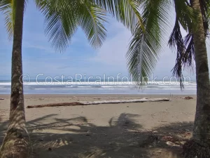 Matapalo Beach Costa Rica