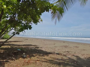 Matapalo Beach Costa Rica