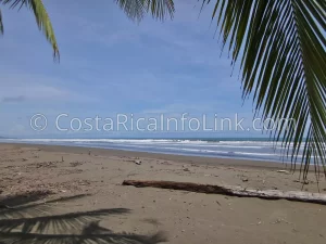 Matapalo Beach Costa Rica