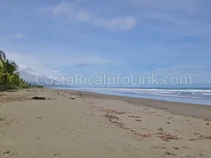 Matapalo Beach Costa Rica