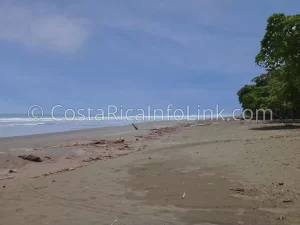 Matapalo Beach Costa Rica