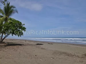 Matapalo Beach Costa Rica