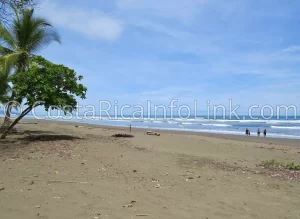 Matapalo Beach Costa Rica