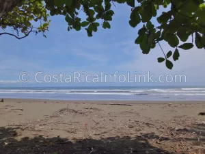 Matapalo Beach Costa Rica