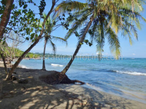 Manzanillo Beach Costa Rica in Cahuita, Talamanca, Limon.