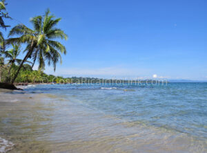 Manzanillo Beach Costa Rica in Cahuita, Talamanca, Limon.